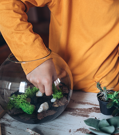 Cómo hacer tu terrario en casa