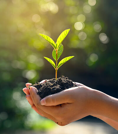 Cómo tener una vida más sustentable